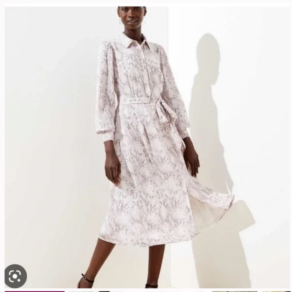LOFT Snake Print Shirt Dress in 4 Petite